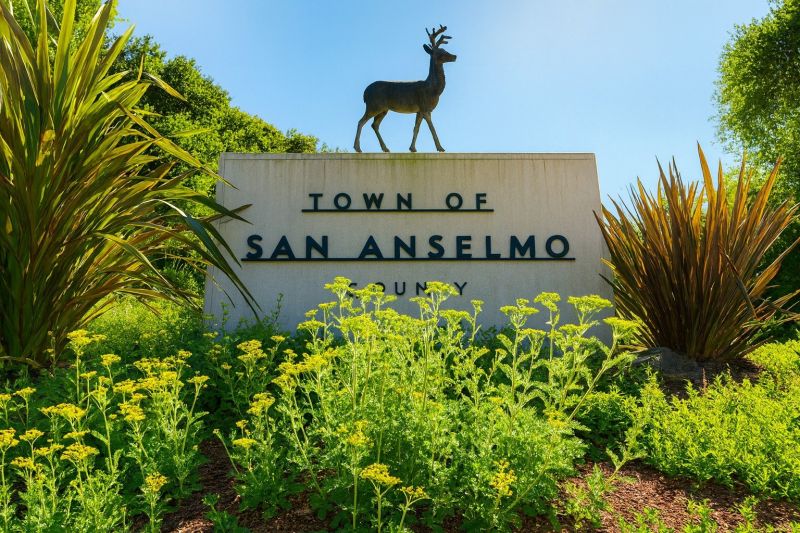 Local Outdoor Kitchen Installation in San Anselmo, CA
