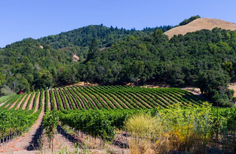 Local Outdoor Kitchen Installation in Santa Rosa, CA